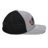 Team Hat Logo 2020